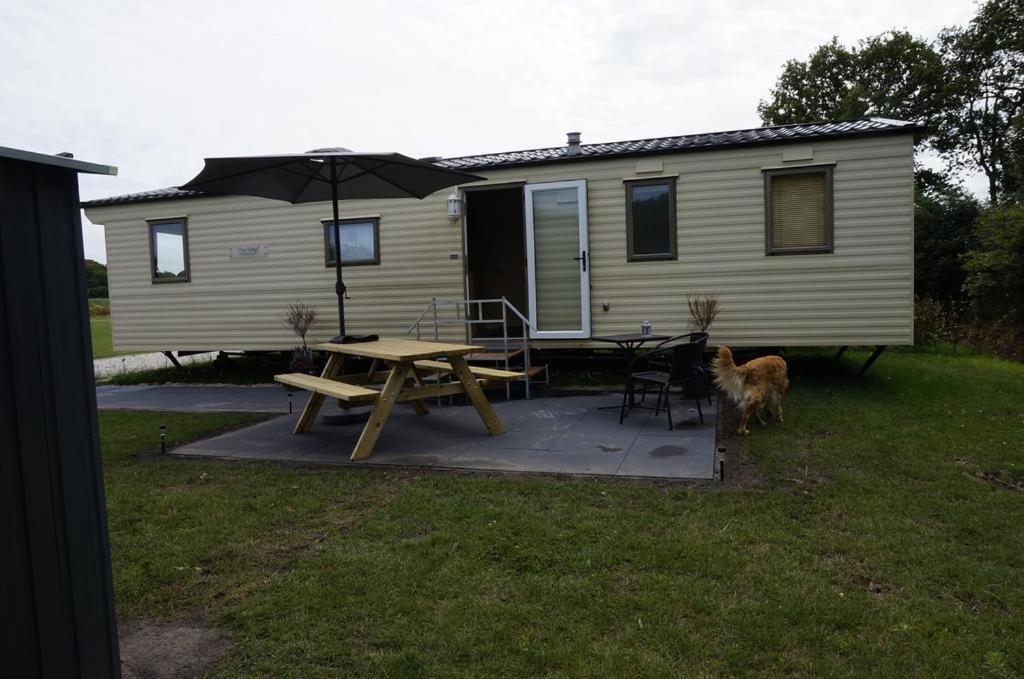 Hotel Weerribben Chalets Paasloo Zewnętrze zdjęcie